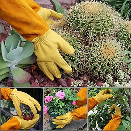 Morzejar Leather Thorn-Proof Gardening Gloves – Medium - Image 4