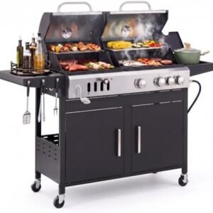 Sophia & William dual-fuel charcoal and propane gas grill with side burner