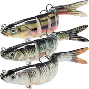 TRUSCEND Swimmax 5.4-inch jointed swimbait with BKK hooks and segmented baitfish design